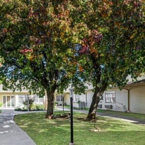 Community photo