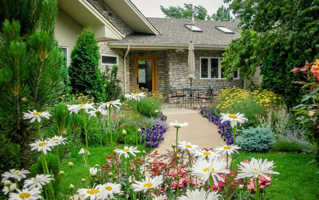 Garden, flowers.