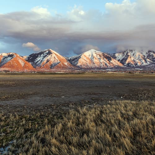 Community photo