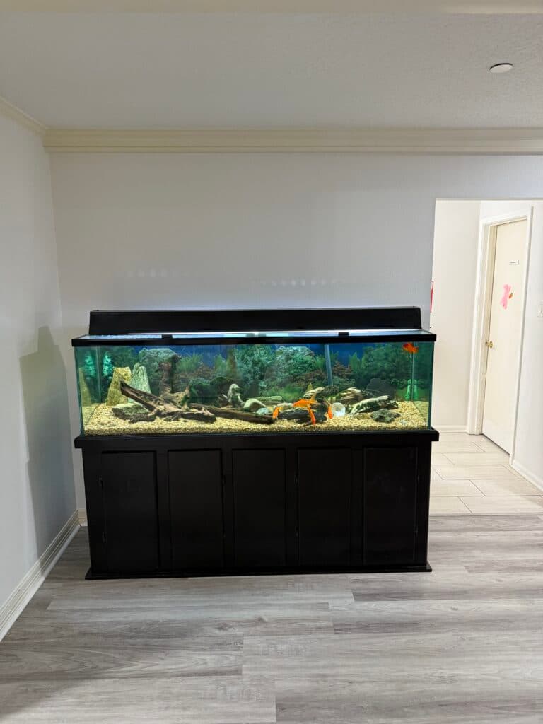 Resident room