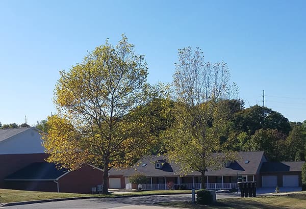 Community photo