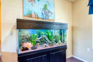 Resident room