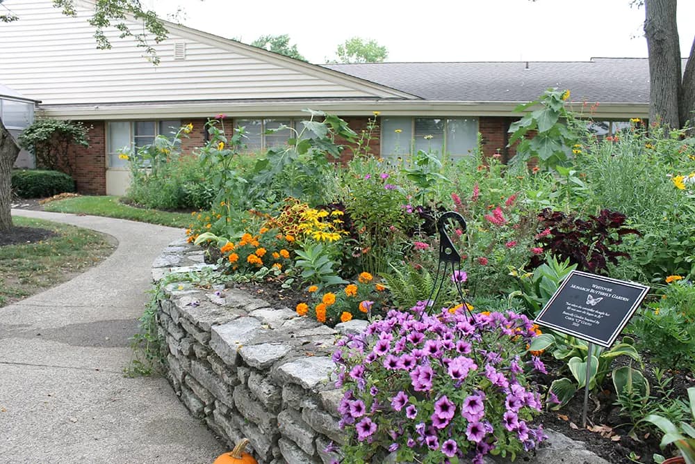 Community photo