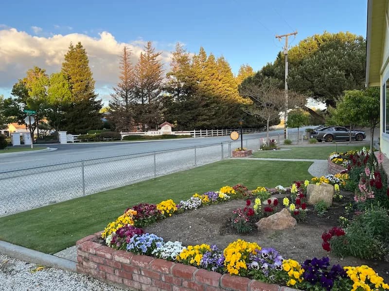 Community photo