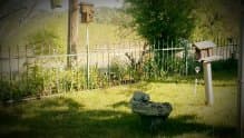 CLOVER VALLEY GUEST HOME photo 4