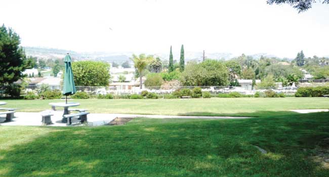 Community photo