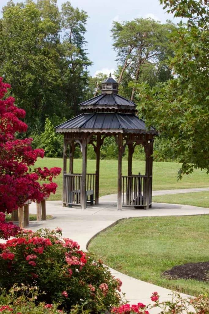 Community photo