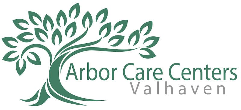 Arbor Care Center-Valhaven, LLC