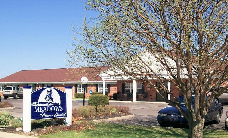 MEADOWS OF OTTAWA THE