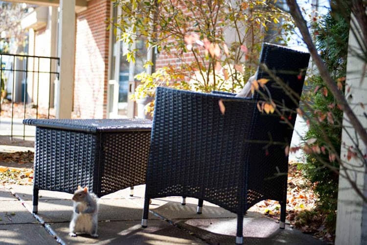 THE GRAND REHABILITATION AND NURSING AT ROME