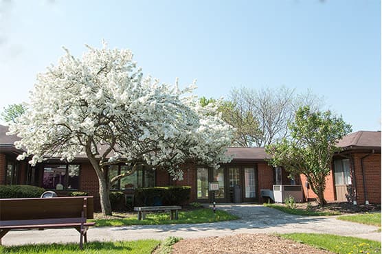 SEASONS NURSING AND REHAB