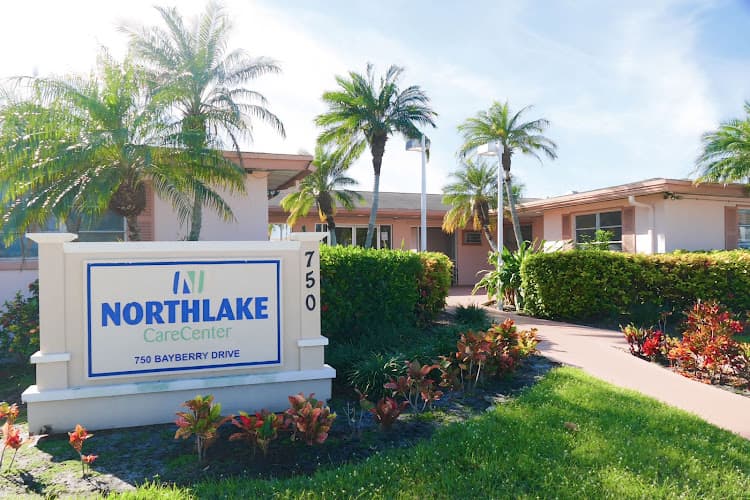 NORTH LAKE CARE CENTER AND REHAB
