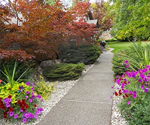 Community photo