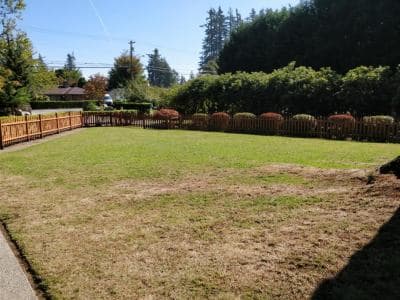 Community photo