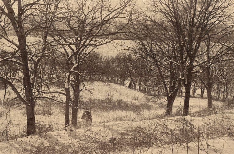 Community photo