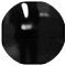 Community photo