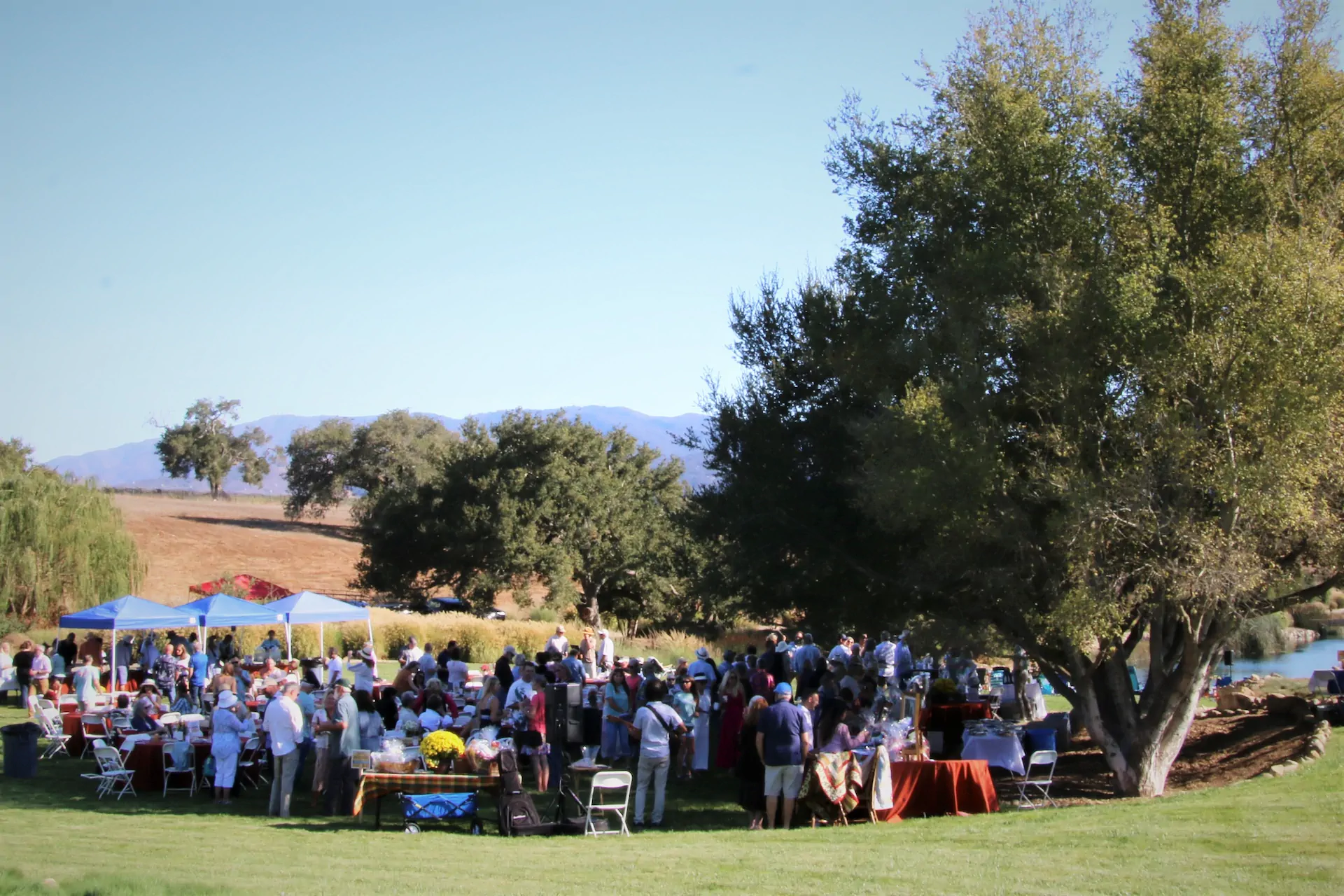 Community photo