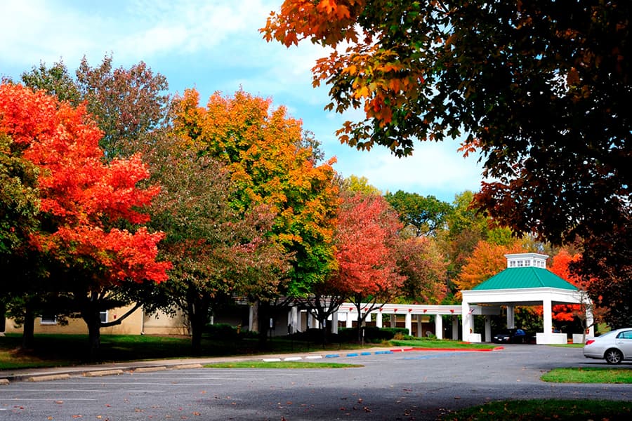 Community photo