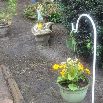 Community photo