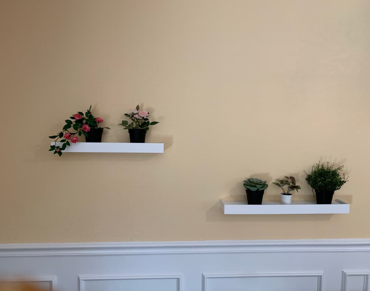 Community photo