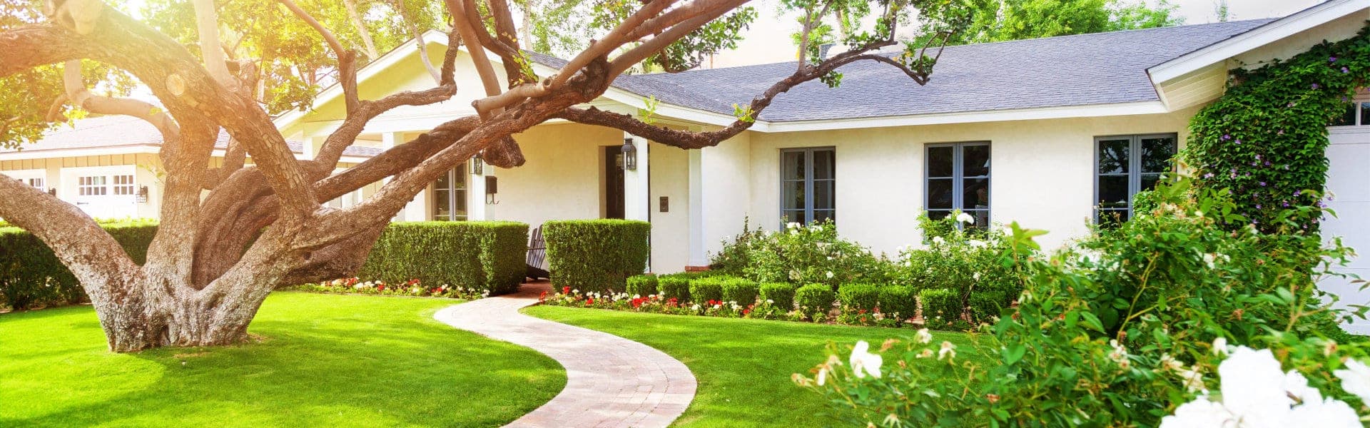 house with a large tree outdoors