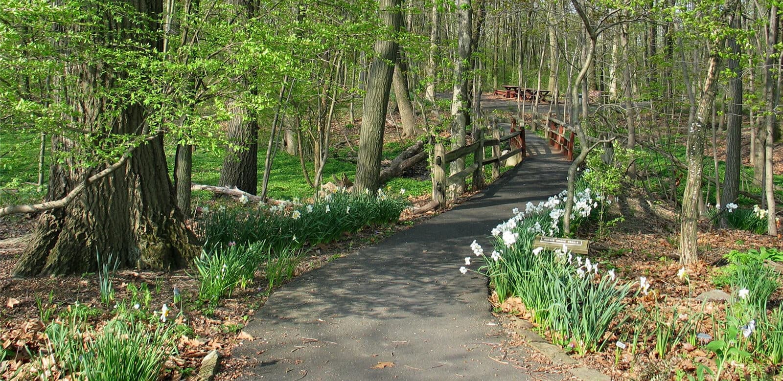 Community photo