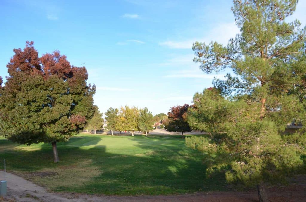 Community photo