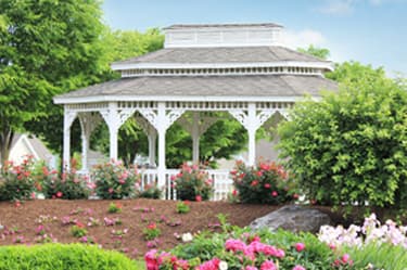 Community photo