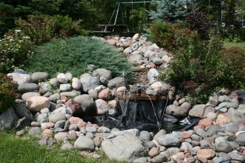 Community photo