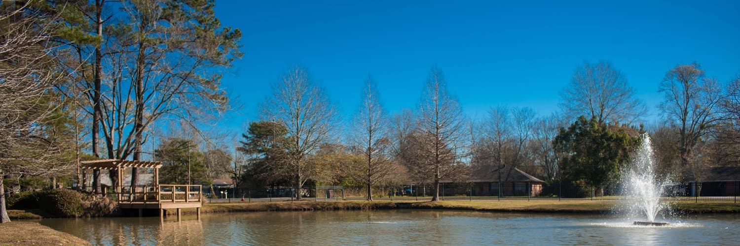 Community photo