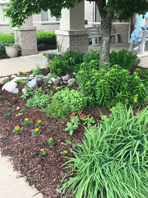 Community photo