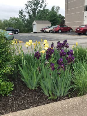 Community photo
