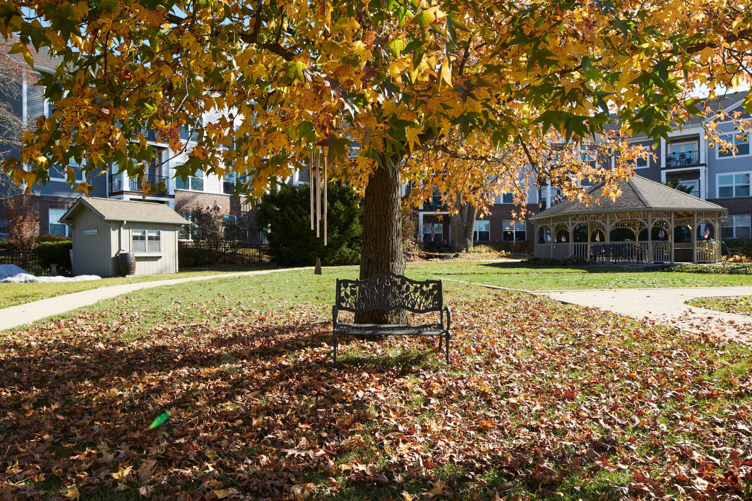 Community photo