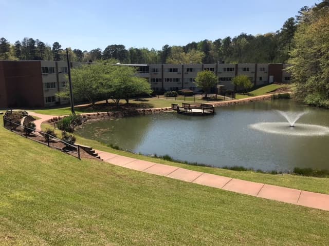 Community photo