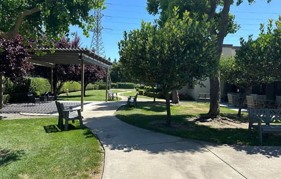 Community photo
