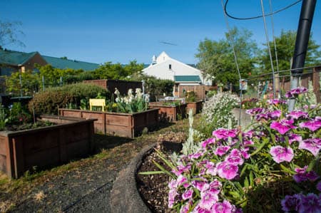 Community photo