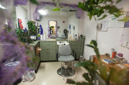 Community photo