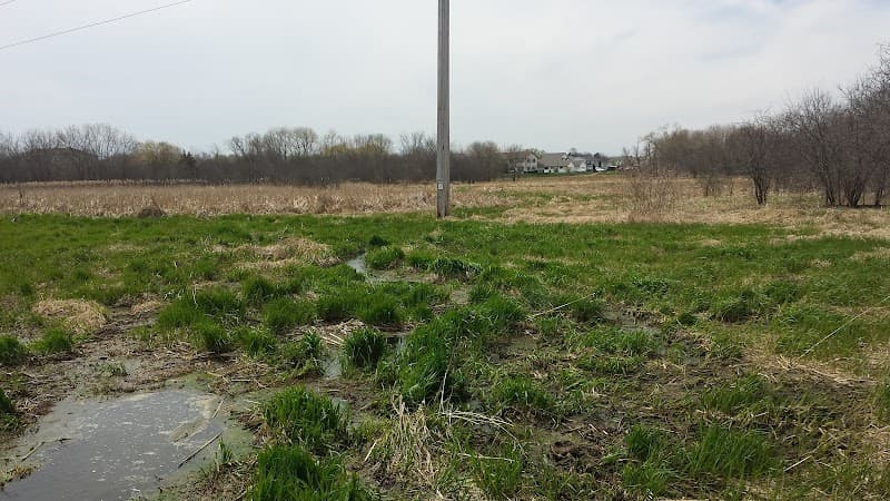 HIL FOX MEAD GROUP HOME