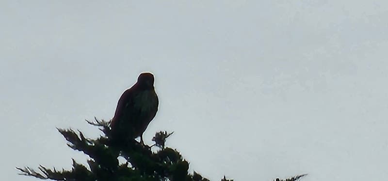 CYPRESS GARDEN HOME CARE