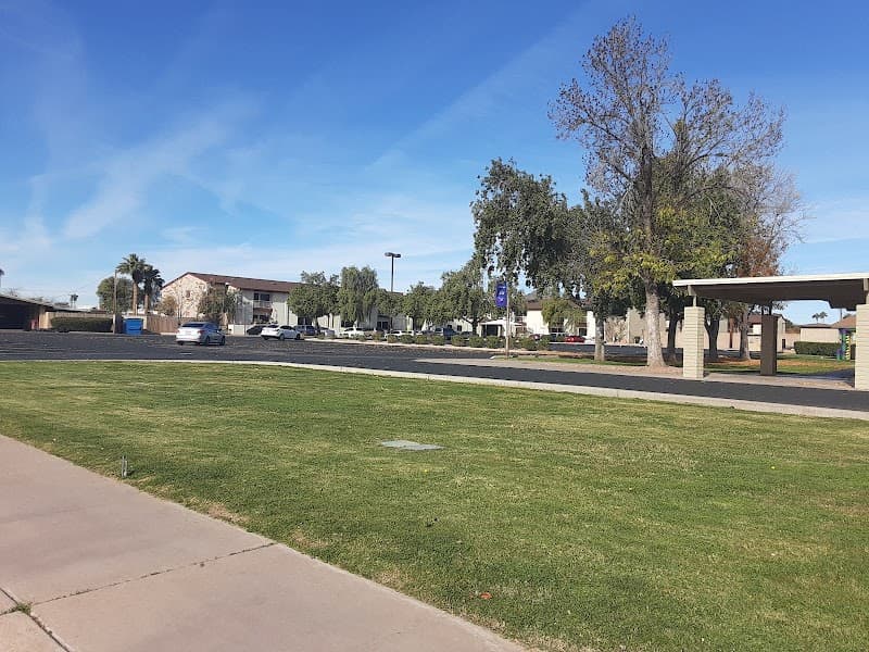 DESERT PALM ON PALM LANE