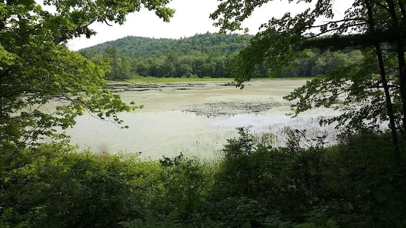 Pine View Haven