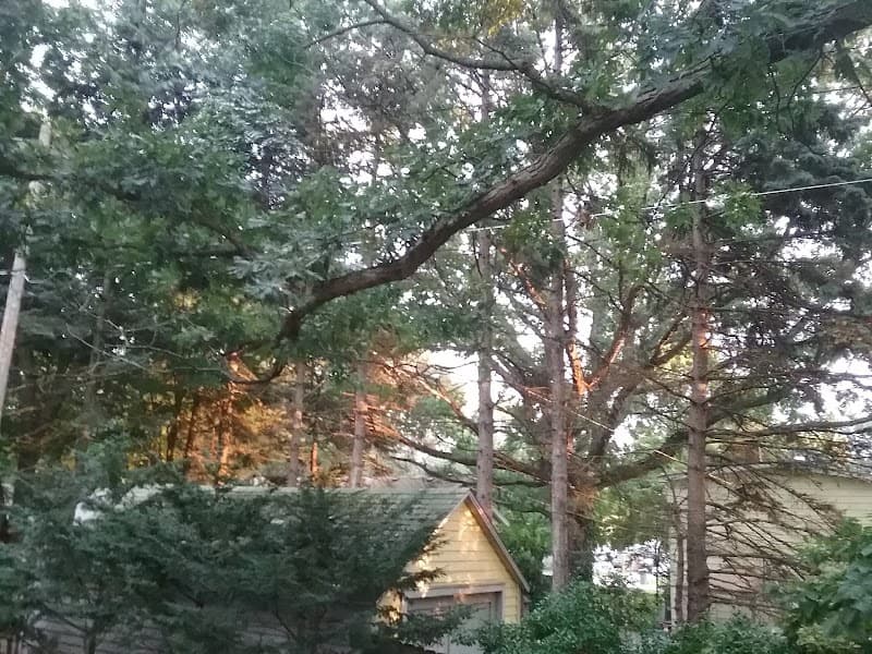 Robert Brown Crisis Center