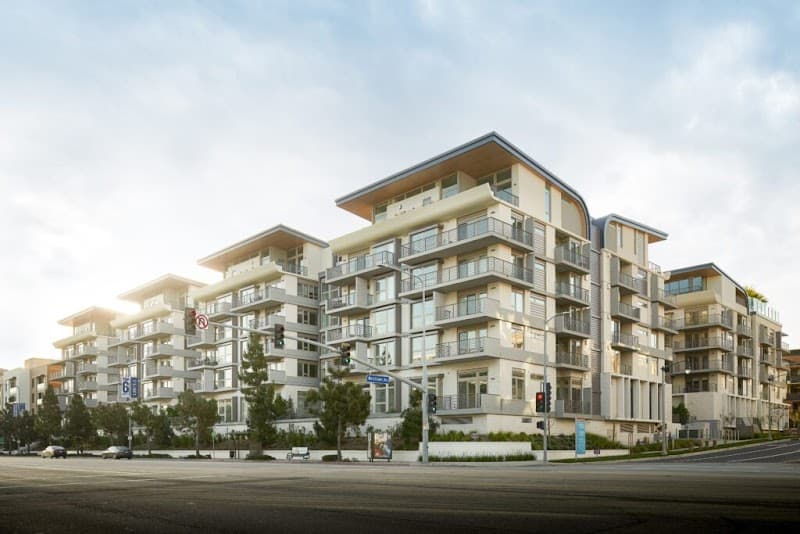 Avocet at Playa Vista