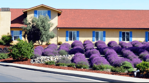 LAVENDER HILLS ASSISTED LIVING III