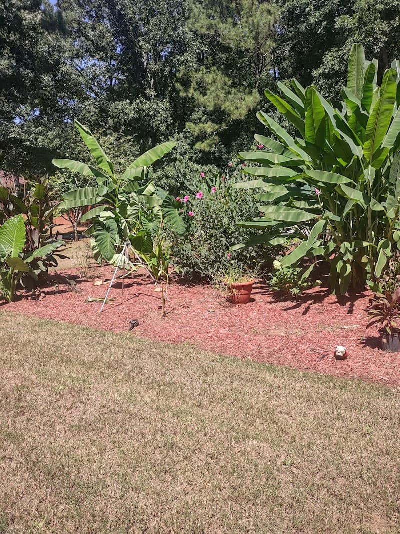 OUR RISING ANGELS, LLC