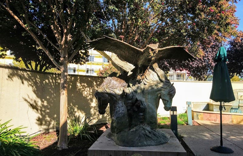 AGING IN THE BAY - DUBLIN