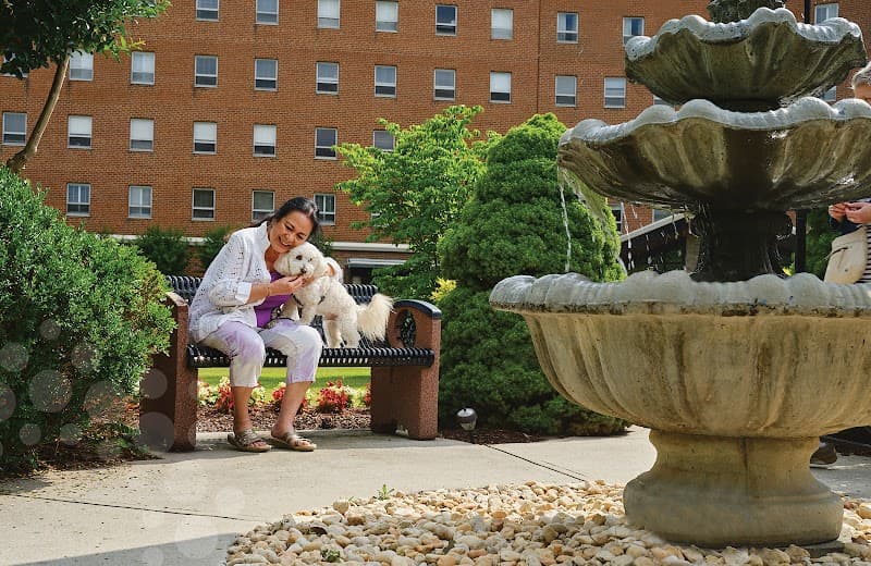 Hermitage Northern Virginia