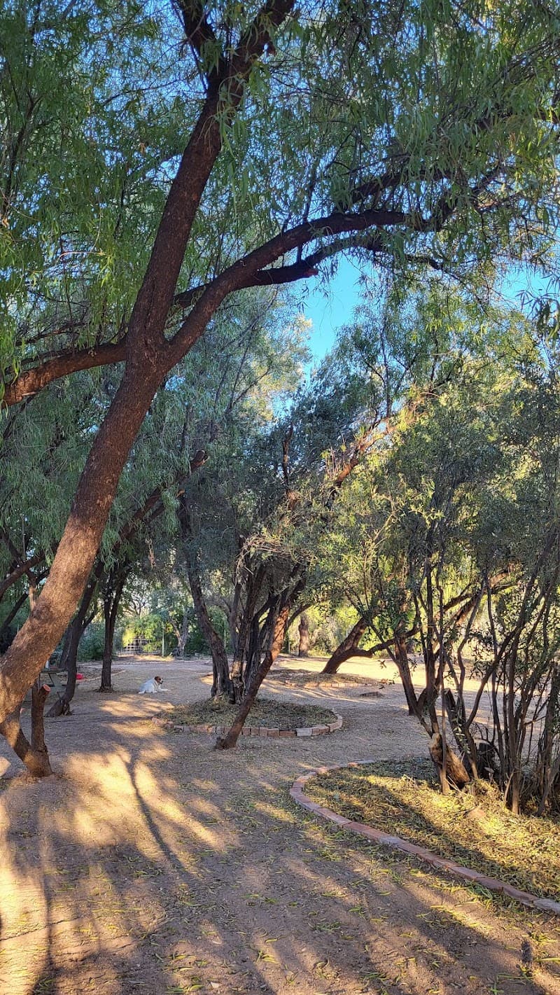 Kiko's Ranch