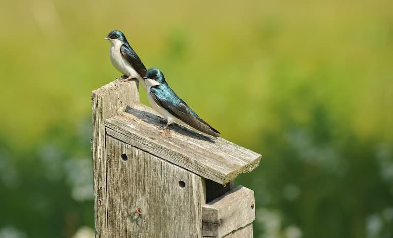 PENNSWOOD VILLAGE PERSONAL CARE HOME