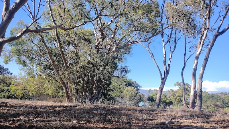 DEVEREUX FOUNDATION - WEISMAN CENTER (RCFE)